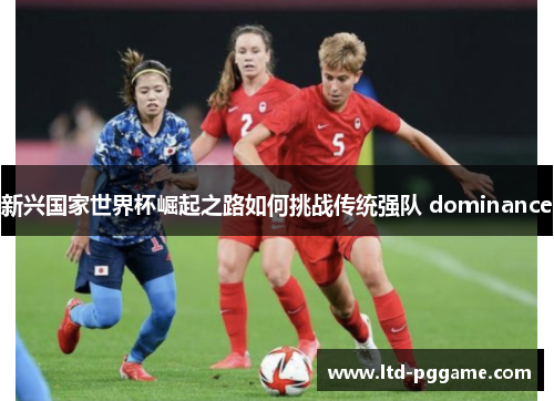 新兴国家世界杯崛起之路如何挑战传统强队 dominance