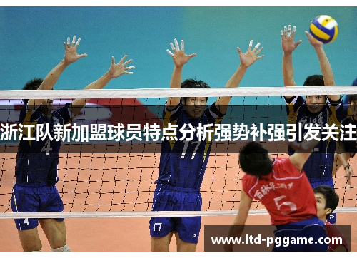浙江队新加盟球员特点分析强势补强引发关注 浙江队新加盟球员特点分析强势补强引发关注
