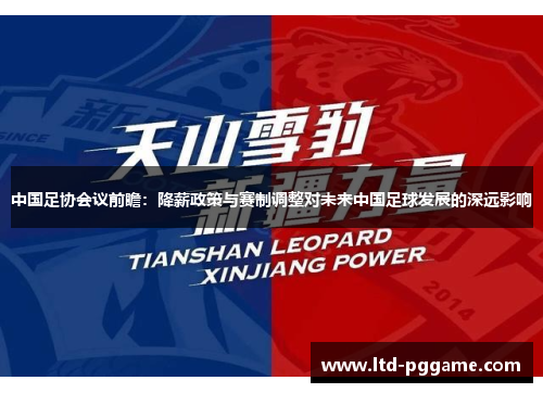 中国足协会议前瞻：降薪政策与赛制调整对未来中国足球发展的深远影响