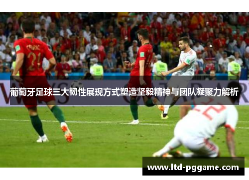 葡萄牙足球三大韧性展现方式塑造坚毅精神与团队凝聚力解析