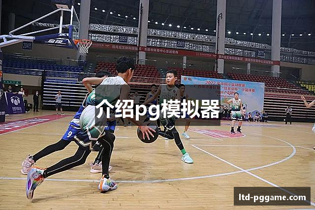 介绍pg模拟器